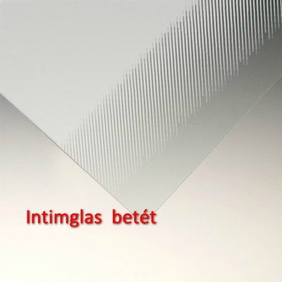 Roltechnik LLDO1 900 zuhanyajtó brillant profil intimglass üveg (551-9000000-00-21)