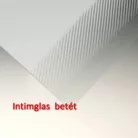 Roltechnik LLDO2 900 kétszárnyas zuhanyajtó brillant profil intimglass üveg (552-9000000-00-21)