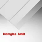 Roltechnik TCN2 1000 kétszárnyas zuhanyajtó ezüst profil intimglass betét (731-1000000-01-20)