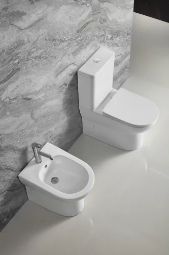 Aqualine JALTA RIMLESS monoblokkos WC, alsó/hátsó kifolyású, ülőke nélkül, duál gombos, 37x63cm