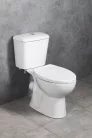 Aqualine JOSE monoblokkos WC, hátsó kifolyású, duálgombos öblítőmechanikával, 38x66cm