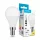 Modee Lighting LED Izzó Globe Mini G45 8,5W E14 200° 2700K (806 lumen) ERP