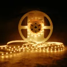 Modee LED Szalag DC12V 4,8W/m 60LED/m 8mm IP20 2700K (540 lumen/m) B5
