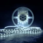 Modee LED Szalag DC12V 4,8W/m 60LED/m 8mm IP20 6000K (540 lumen/m) B5