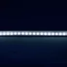 Modee LED Szalag DC12V 4,8W/m 60LED/m 8mm IP20 6000K (540 lumen/m) B5