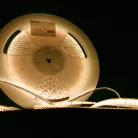 Modee LED Szalag DC12V 9,6W/m 120LED/m 8mm IP20 4000K (1080 lumen/m) B30