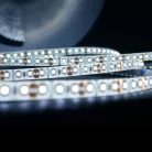 Modee LED Szalag DC12V 9,6W/m 120LED/m 8mm IP20 6000K (1080 lumen/m) B5