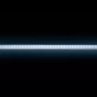 Modee LED Szalag DC12V 9,6W/m 120LED/m 8mm IP20 6000K (1080 lumen/m) B5