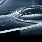 Modee LED Szalag DC12V 9,6W/m 120LED/m 8mm IP20 6000K (1080 lumen/m) B5