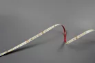 Modee LED Szalag DC24V 9,6W/m 128LED/m 8mm IP20 4000K CRI90 (1150 lumen/m) B5