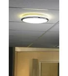 Sapho SILVER mennyezeti lámpa, átm.:29cm, 10W, 230V, 3000K/4000K/6500K, króm