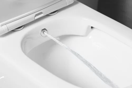 Sapho PACO RIMLESS monoblokkos WC, alsó/hátsó kifolyású, ülőke nélkül, beépített csapteleppel, bidézuhannyal, duálgombos, 38x61cm