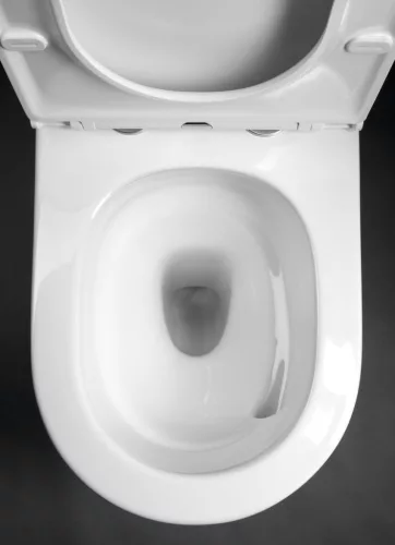 Sapho AVIS VORTEX RIMLESS monoblokkos WC, alsó/hátsó kifolyású, ülőke nélkül