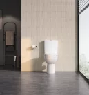 Sapho SANIVEX RIMLESS monoblokkos WC, hátsó kifolyású, ülőke nélkül