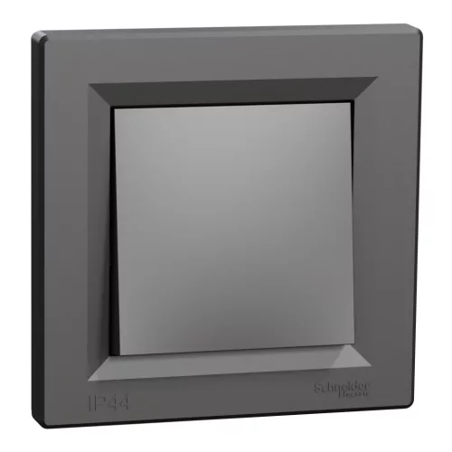 ASFORA Egypólusú kapcsoló - IP44, kerettel, antracit (EPH0100271)