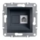 ASFORA 1xRJ11 telefon aljzat, antracit (EPH4100171)