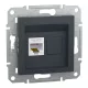 ASFORA 1xRJ45 Cat5e UTP aljzat, antracit (EPH4300171)