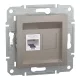 ASFORA 1xRJ45 Cat6 UTP aljzat, bronz (EPH4700169)