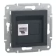 ASFORA 1xRJ45 Cat6 UTP aljzat, antracit (EPH4700171)
