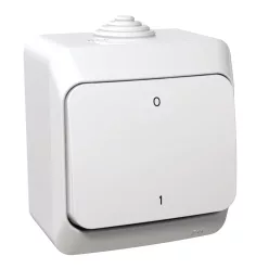   Schneider - CEDAR PLUS Kétpólusú kapcsoló, IP44, fehér - 102 (WDE000520)